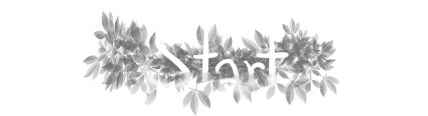 Start