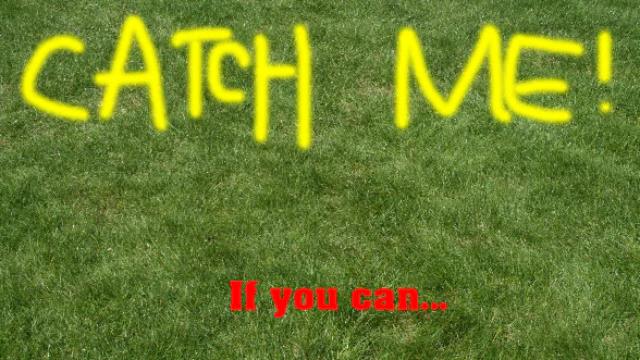 Catch Me if You Can!