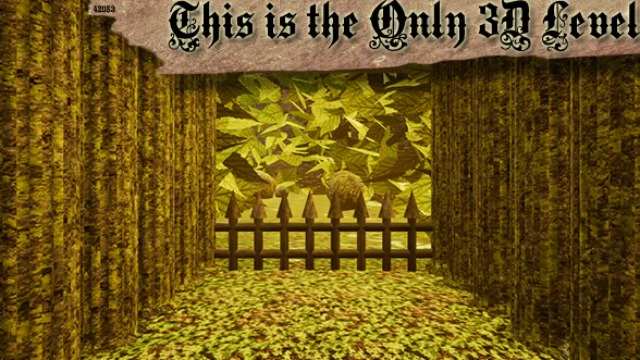 This is the Only 3D Level